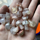 10 Types Mini Crystal Mushroom -Wholesale Crystals