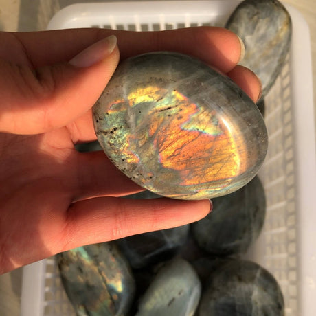 Labradorite Large Palm Wholesale -Wholesale Crystals
