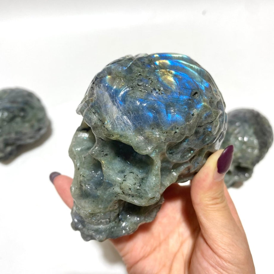 Large selling labradorite skull