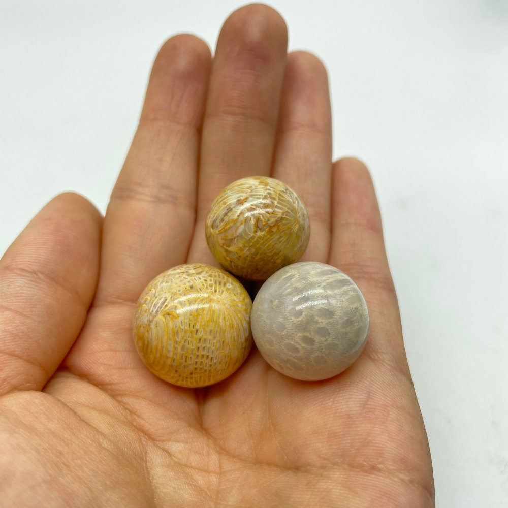 Natural Jade Coral Sphere Ball Wholesale -Wholesale Crystals
