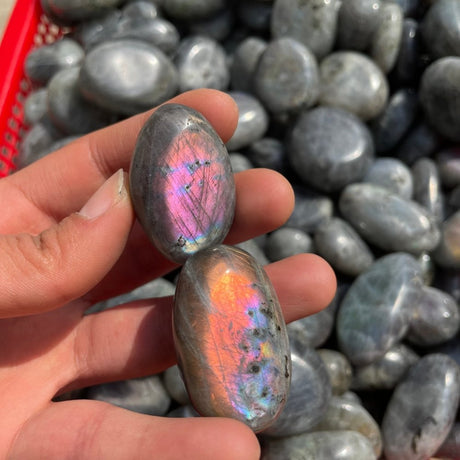 Purple Yellow Labradorite palm stone 1kg(2.2lbs) wholesale -Wholesale Crystals